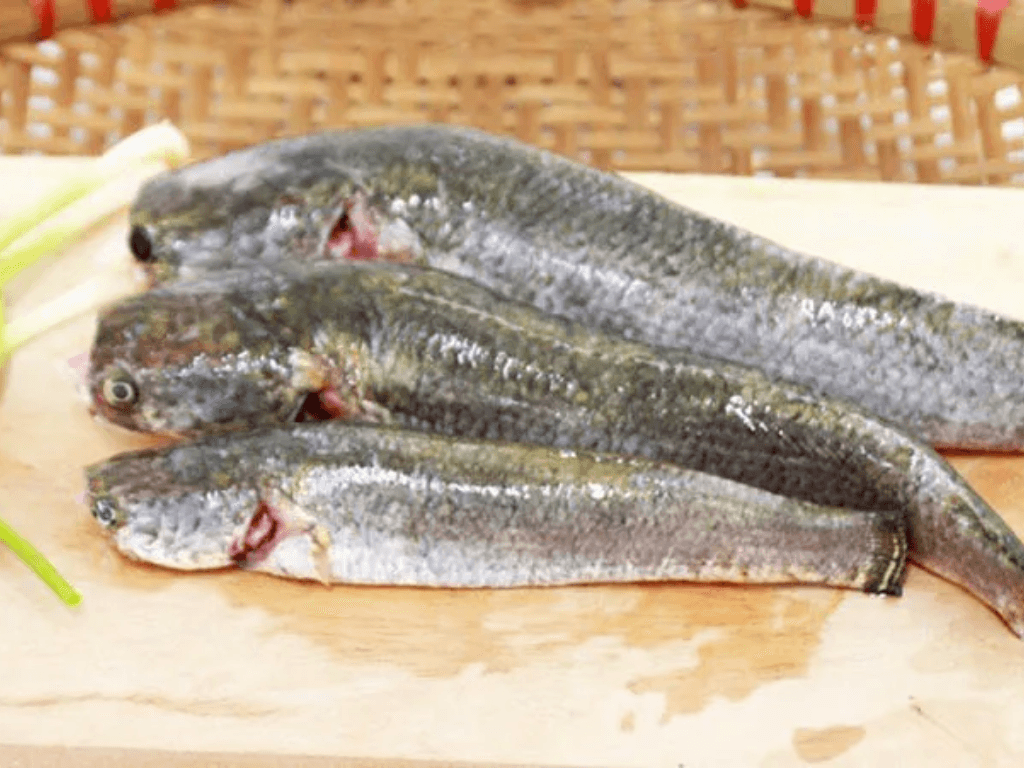 Cach-so-che-ca-loc-de-khong-con-mui-tanh