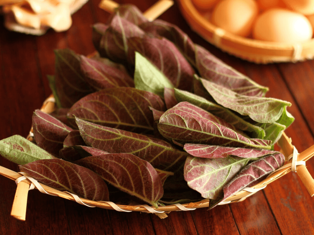 Cach-chon-la-mo-tuoi-va-so-che-dung-cach