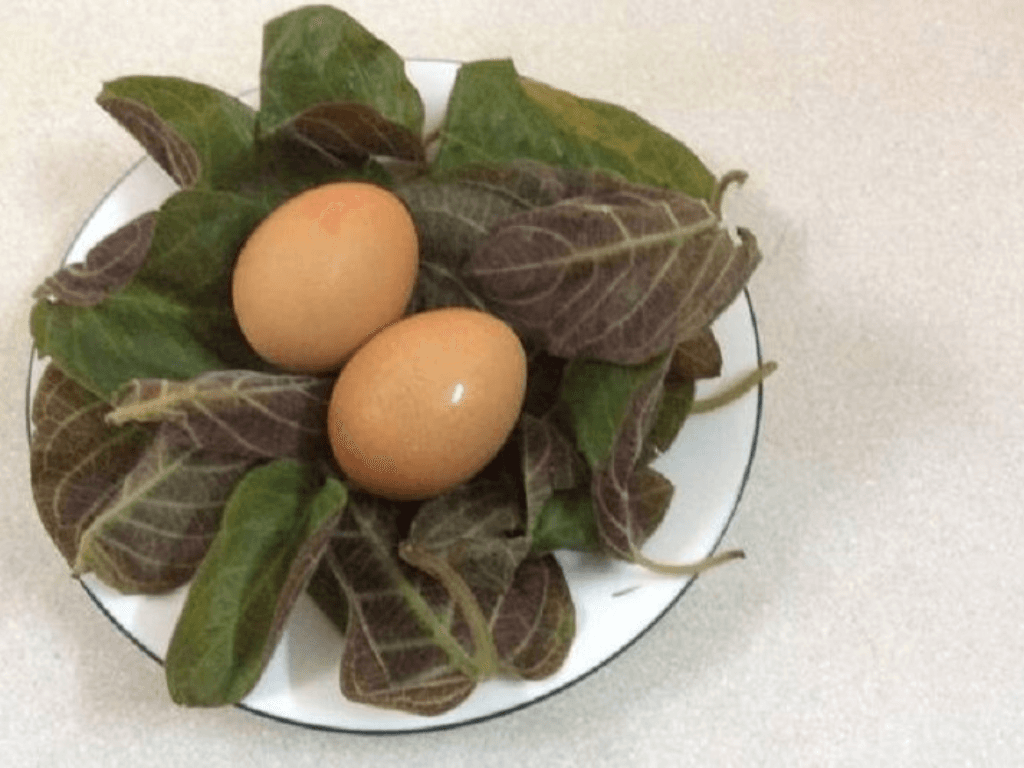 Loi-ich-cua-la-mo-doi-voi-suc-khoe