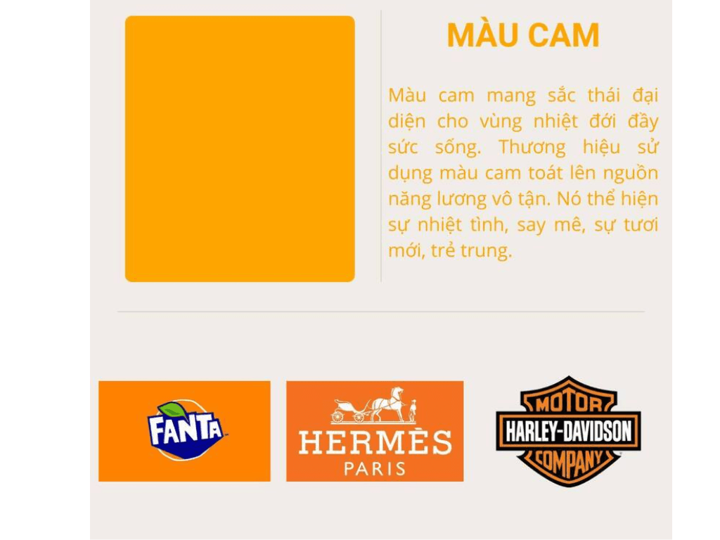 y-nghia-mau-cam