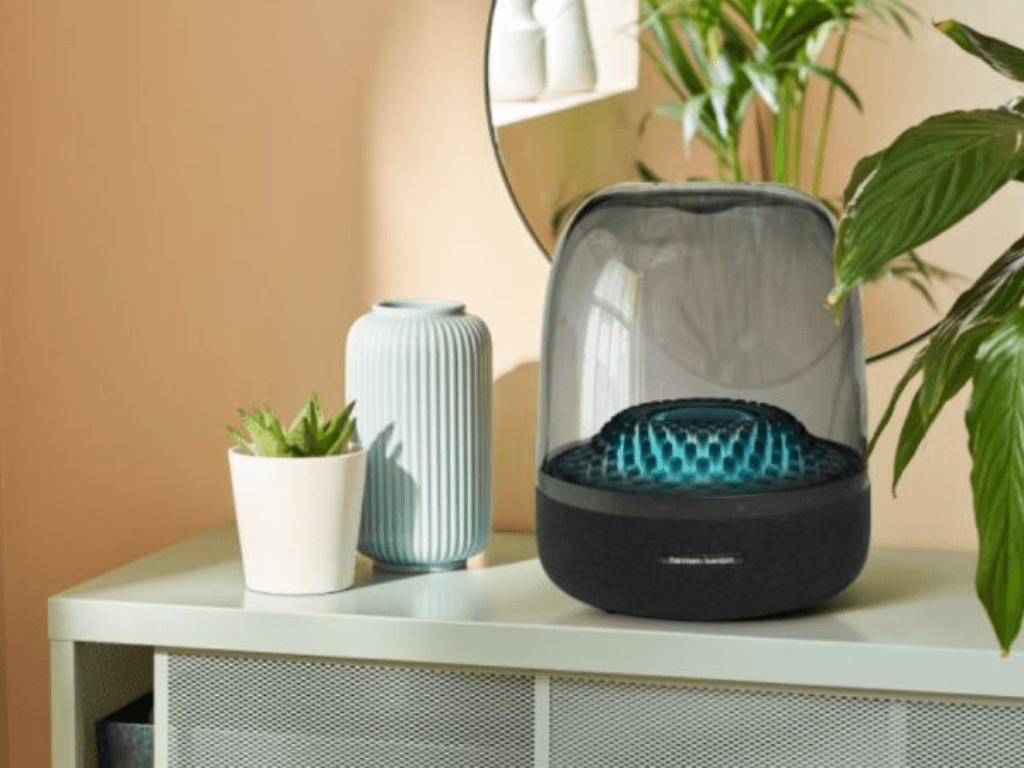 Meo-giu-duong-truyen-on-dinh-khi-phat-nhac