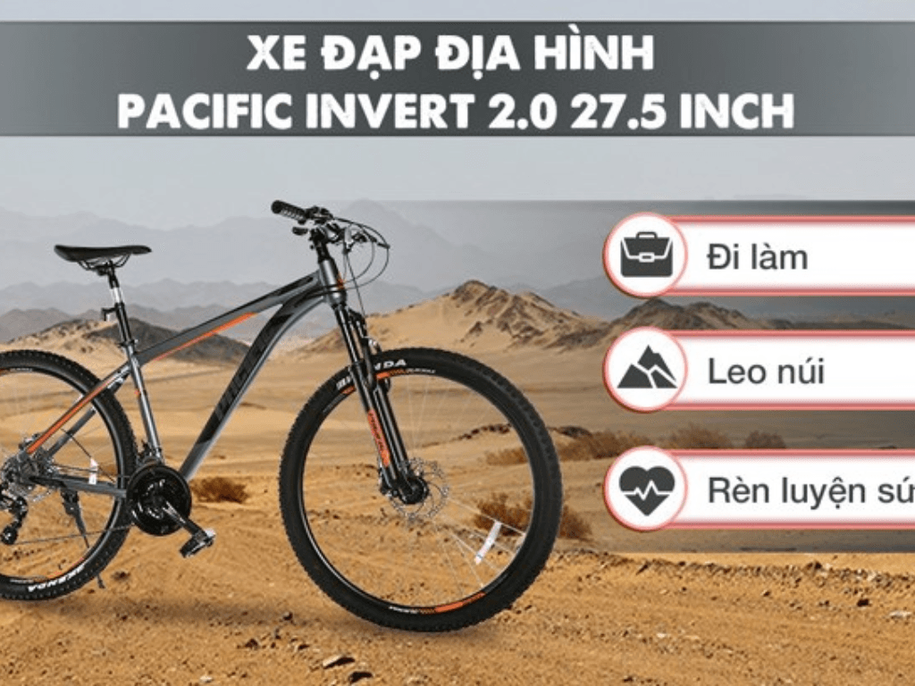 Cac-dong-xe-dap-Pacific-pho-bien-tai-Viet-Nam