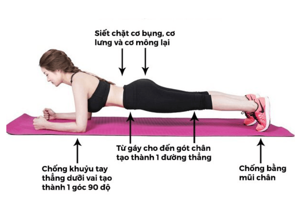 Loi-ich-cua-plank-doi-voi-vung-bung