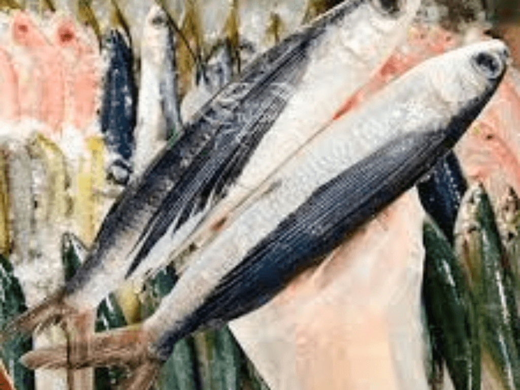 Loi-ich-suc-khoe-khi-an-ca-chuon