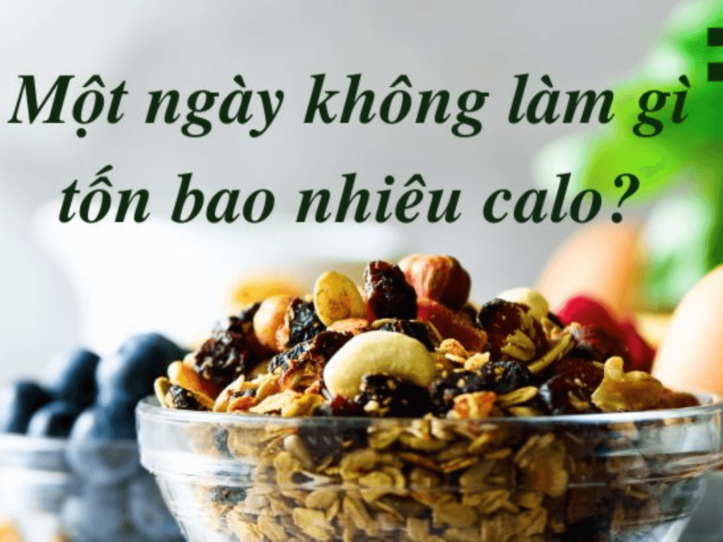 1-ngay-co-the-tu-dot-bao-nhieu-calo-trung-binh