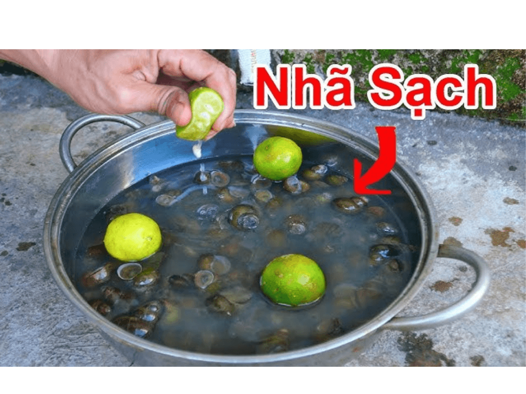 Dung-nguyen-lieu-tu-nhien-de-lam-sach-oc-buou