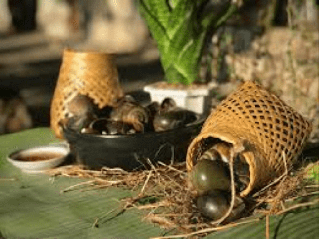 Loi-thuong-gap-khi-so-che-oc-buou