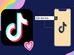 Cách tạo link bio trên TikTok