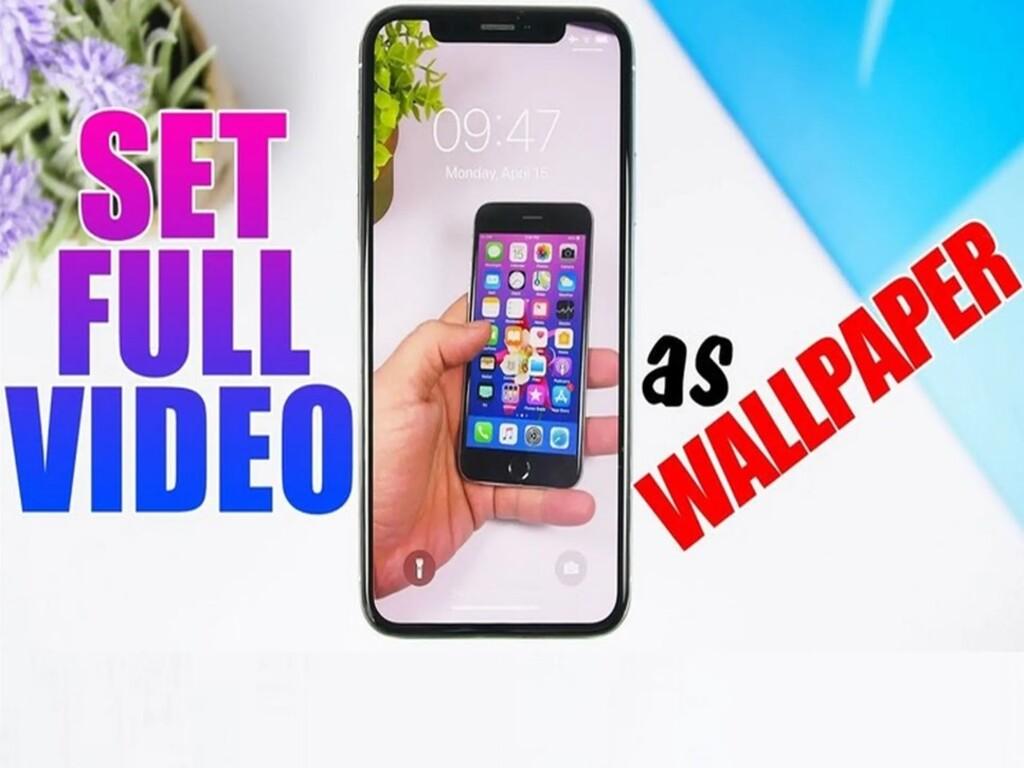 Cách đặt video làm hình nền điện thoại iPhone siêu chất