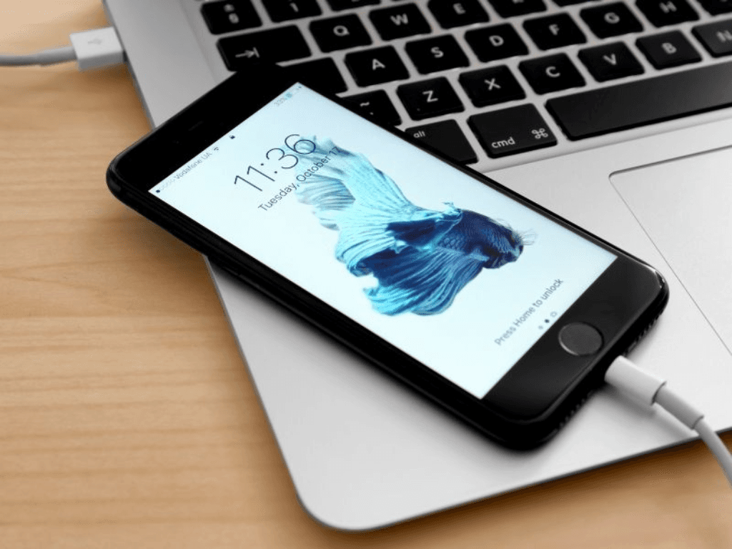 Lỗi iTunes không nhận iPhone khiến công việc đình trệ “chữa cháy” ngay