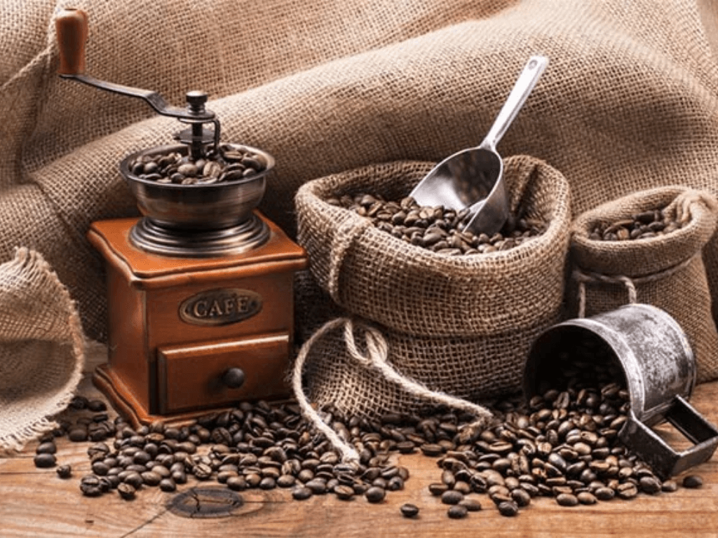 Cách chọn máy xay cà phê cho người mới bắt đầu nhỏ gọn nhưng “có võ”