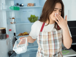 cách khử mùi hôi tủ lạnh ngăn đá