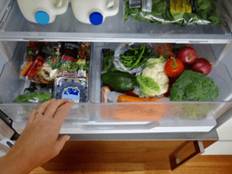 ngăn mát tủ lạnh bị đóng đá