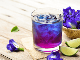 cách làm siro hoa đậu biếc