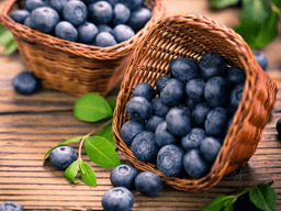 quả việt quất có tác dụng gì