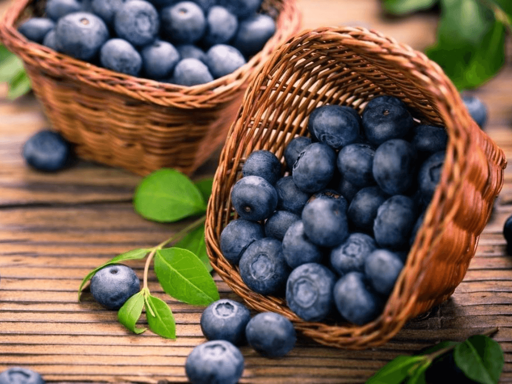 Quả việt quất có tác dụng gì mà da đẹp mắt sáng trí nhớ cũng “lên hương”