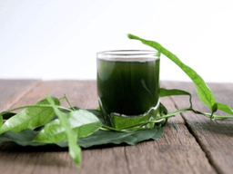 lá sương sâm có tác dụng gì