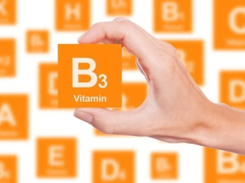 Vitamin B3 có tác dụng gì mà được coi là “vũ khí bí mật” của làn da sáng mịn