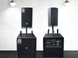 loa suyang có tốt không