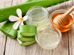 cách làm nha đam mật ong chữa bệnh