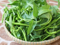 rau muống bao nhiêu calo