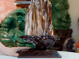 gỗ hóa thạch hợp mệnh gì