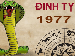người sinh năm 1977 mệnh gì