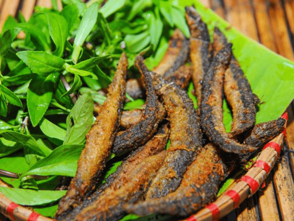 Cá chạch làm món gì ngon để cả nhà “gật gù” khen mãi không thôi