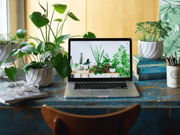 mệnh Kim hợp cây gì để bàn làm việc