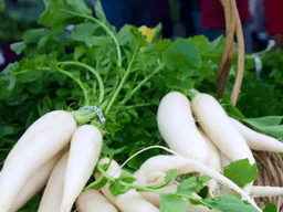 củ cải trắng có tác dụng gì