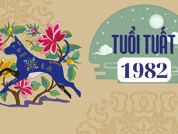 1982 mệnh gì hợp màu gì