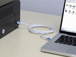 cách cài máy in canon 2900 cho win 10