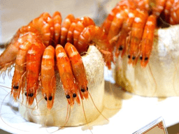 cách làm tôm hấp nước dừa ngon