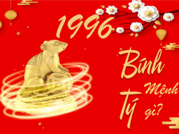 sinh năm 1996 mệnh gì hợp màu gì