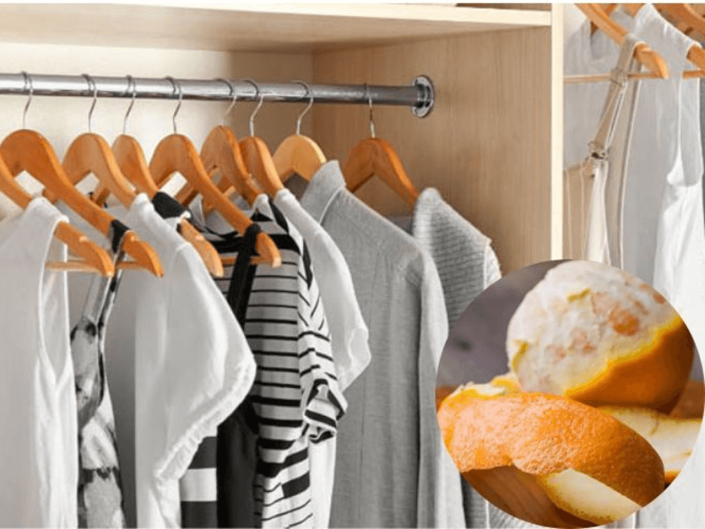 Cách khử mùi hôi trong tủ quần áo với mẹo “xưa mà hay” tiết kiệm tối đa