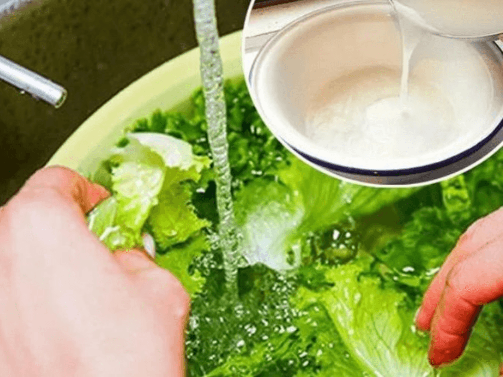 Vì sao khi rửa rau sống nên ngâm nước muối để tránh rước vi khuẩn “vào bụng”