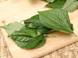 lá lốt ăn sống được không