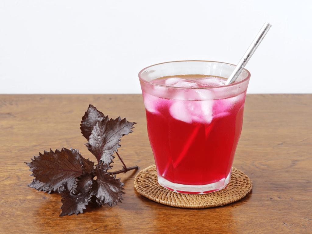 Uống nước lá tía tô có trắng da không? Kết quả khiến chị em “dậy sóng”