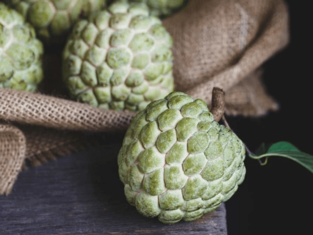 Cách bảo quản na chín được lâu tươi ngon không tốn một xu phòng khi mua “lố”