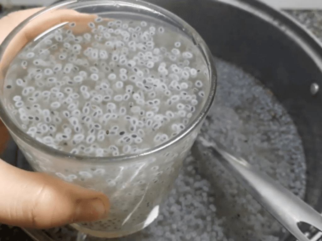 Cách nấu mủ trôm hạt chia đánh tan 40 độ C ngày hè thanh lọc cơ thể 100%