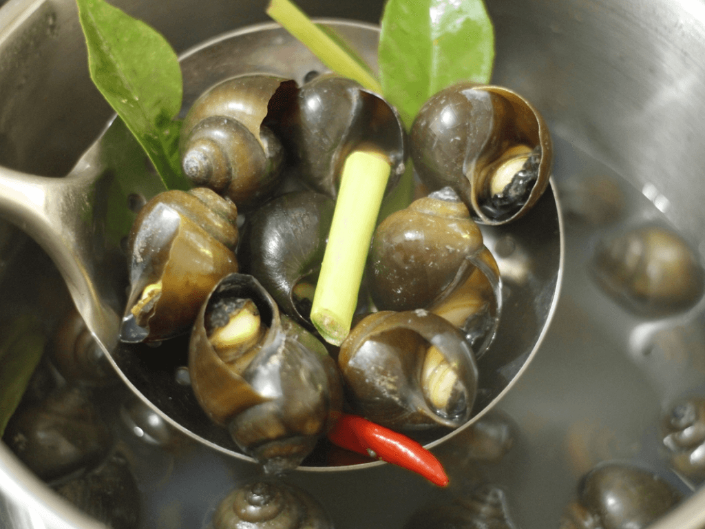 Cách luộc ốc ngon đơn giản với 3 nguyên liệu "chống ế" cho món ốc luộc