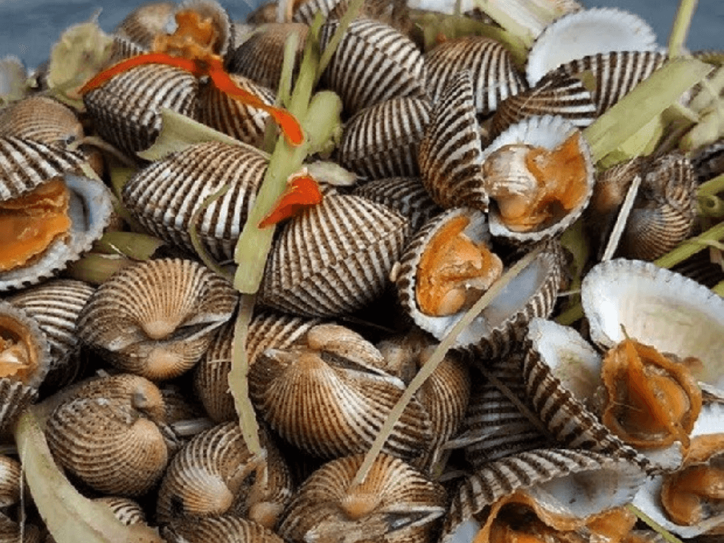 Cách làm sò huyết hấp sả thần thánh nước chấm chua cay làm nên tất cả