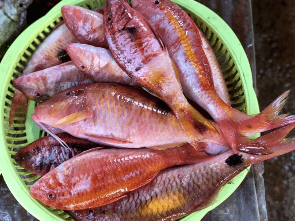 Cá phèn hồng làm gì ngon? Chế biến theo cách này sẽ tạo ra vedette của bàn ăn