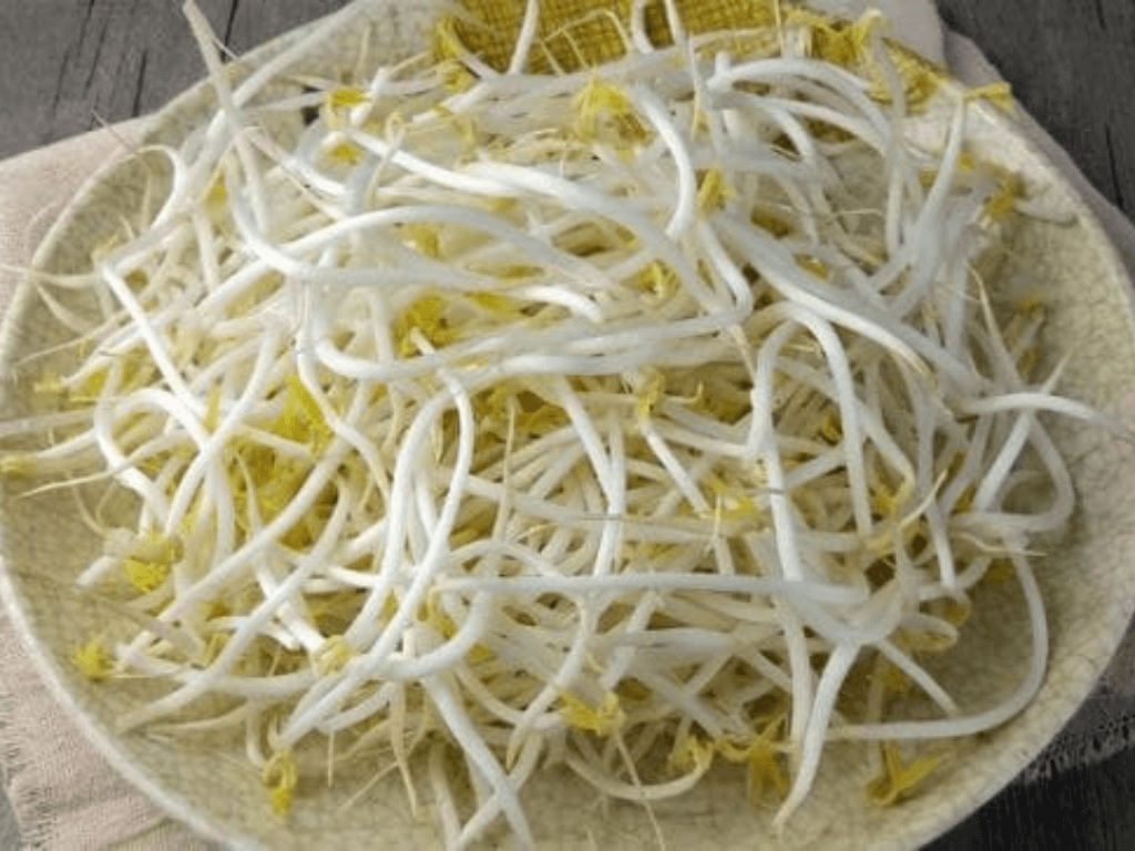 Cách bảo quản giá đỗ "ngủ đông" tươi rói trắng mập giòn tan suốt 7 ngày