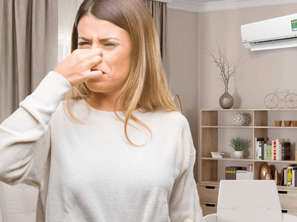 Điều hòa có mùi khai khó chịu? Sự thật kinh hoàng ẩn sau là nấm mốc và vi khuẩn