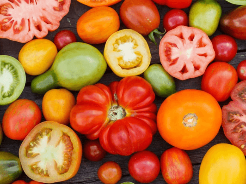 Cách bảo quản cà chua ăn quanh năm biến quả tươi thành "kim cương đỏ"