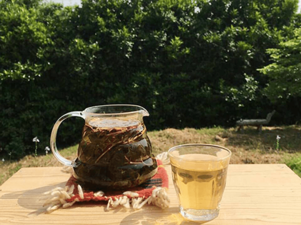 Cách làm trà diếp cá “hóa phép” mụn biến mất và trị dứt điểm táo bón lâu năm