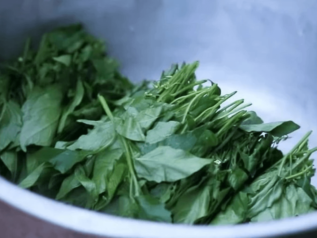 Ăn rau tầm bóp có tác dụng gì? Ngỡ là rau dại hóa ra lại là “thần dược”