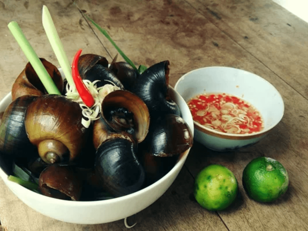 Cách làm ốc lác hấp sả vén màn tuyệt chiêu xóc ốc nhả bùn sạch cặn bẩn vô đối