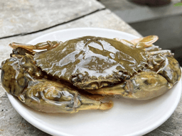 Cua lột làm món gì ngon